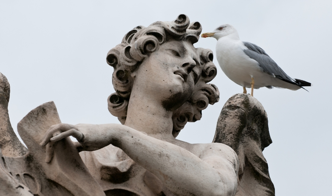 Roma — 2